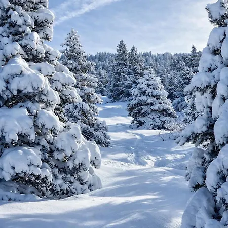 Apartmán Le Nid Du Vercors *